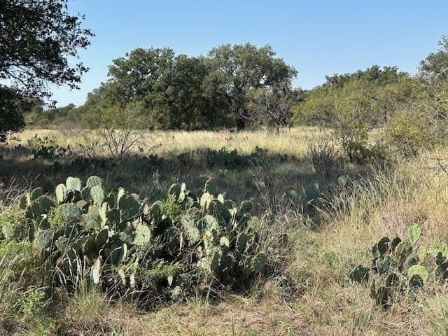 300 acres in San Saba County - photo 18