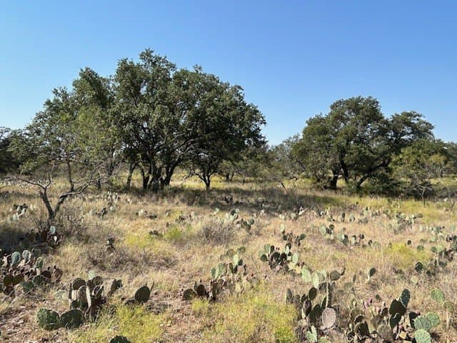 300 acres in San Saba County - photo 21