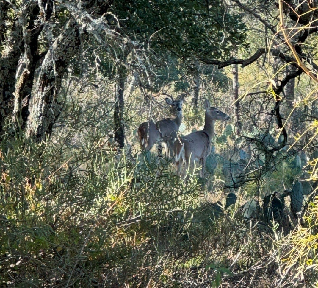 300 acres in San Saba County - photo 34