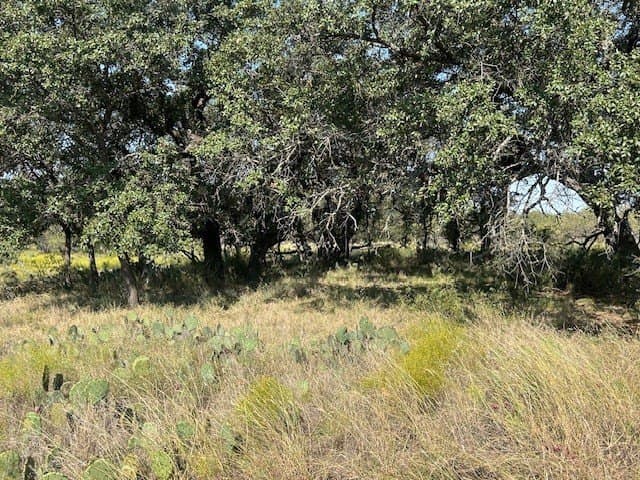 300 acres in San Saba County - photo 10