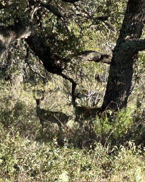 300 acres in San Saba County - photo 11