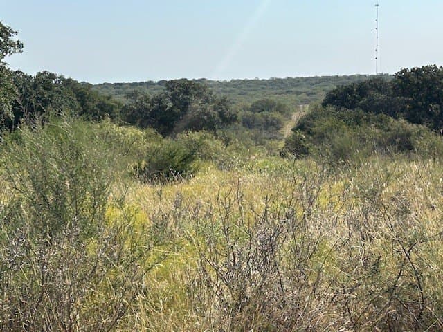 300 acres in San Saba County - photo 19