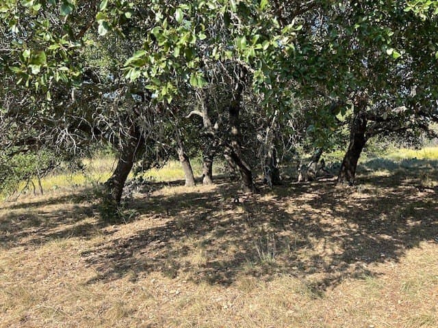 300 acres in San Saba County - photo 7