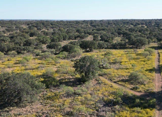 300 acres in San Saba County - photo 20