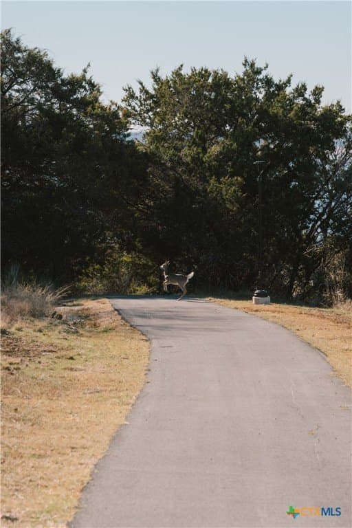 0.75 acres in Bell County - photo 11