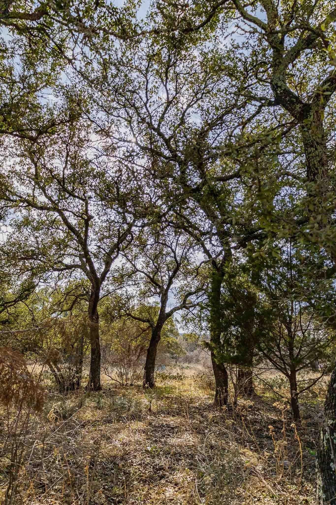 1.33 acres in Burnet County - photo 21