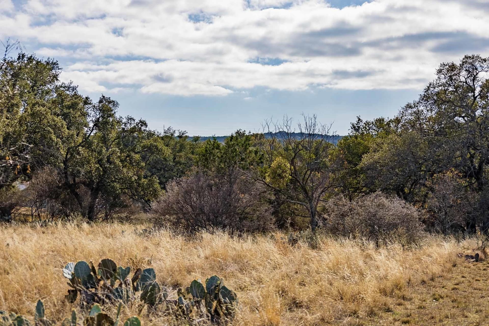 1.33 acres in Burnet County - photo 19