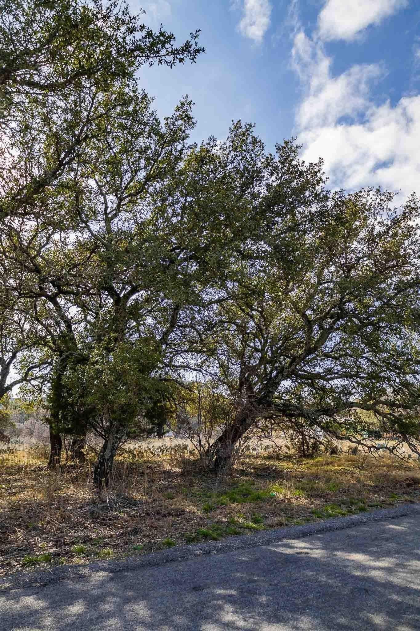 1.33 acres in Burnet County - photo 20