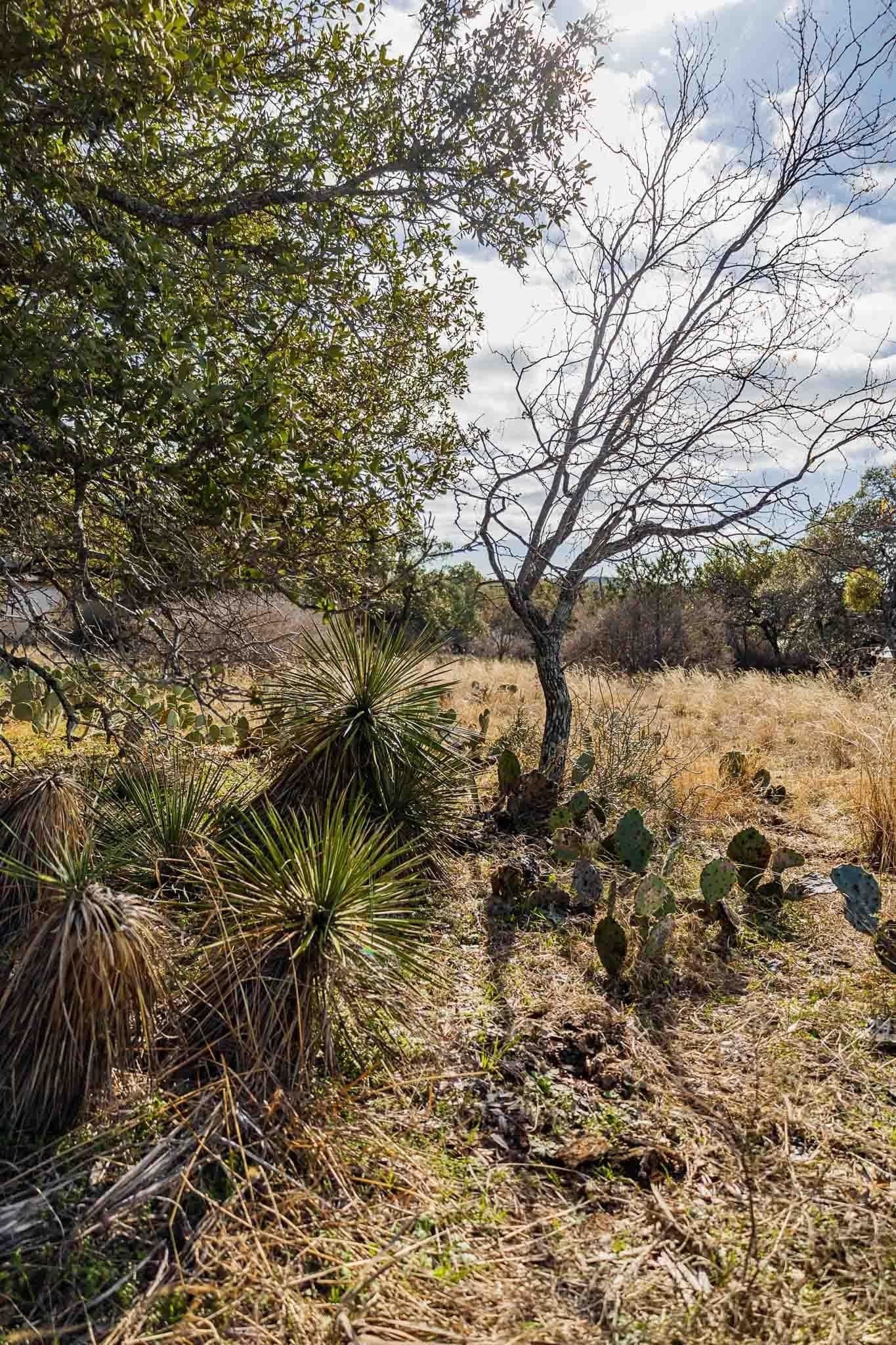 1.33 acres in Burnet County - photo 22