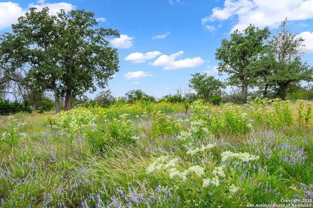 27.11 acres in Gillespie County - photo 49