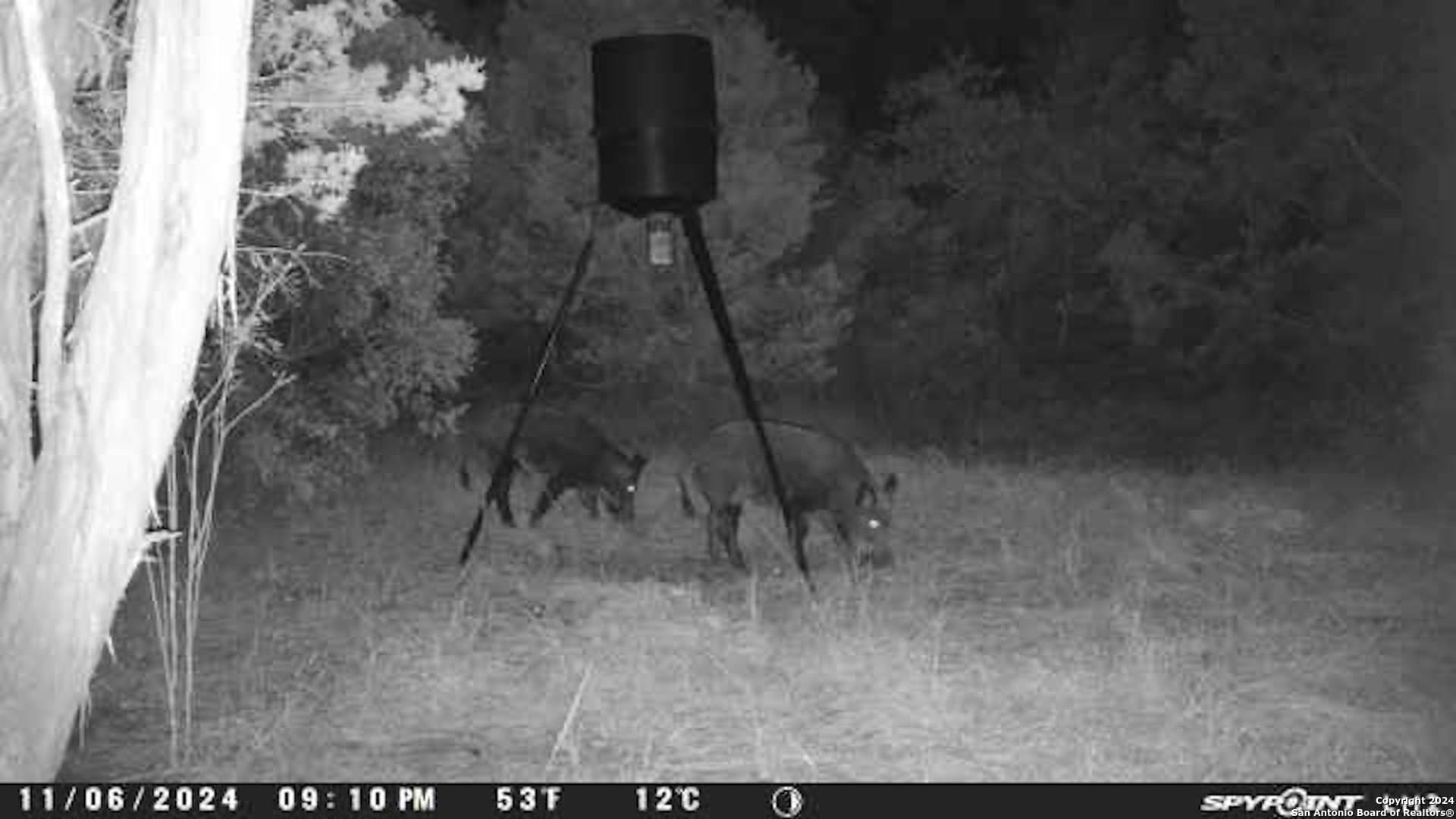 20 acres in Medina County gallery image 2