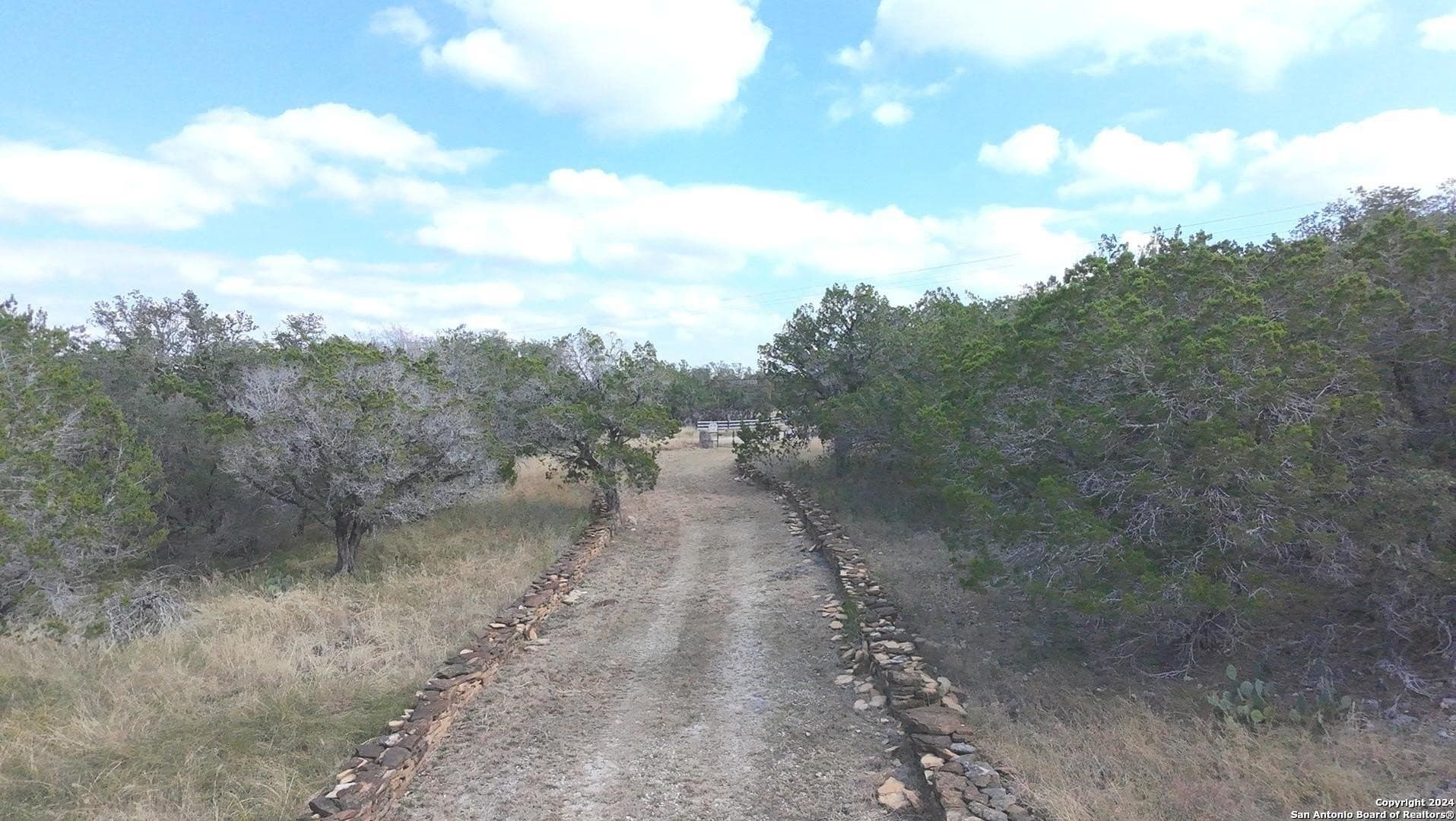 20 acres in Medina County gallery image 3