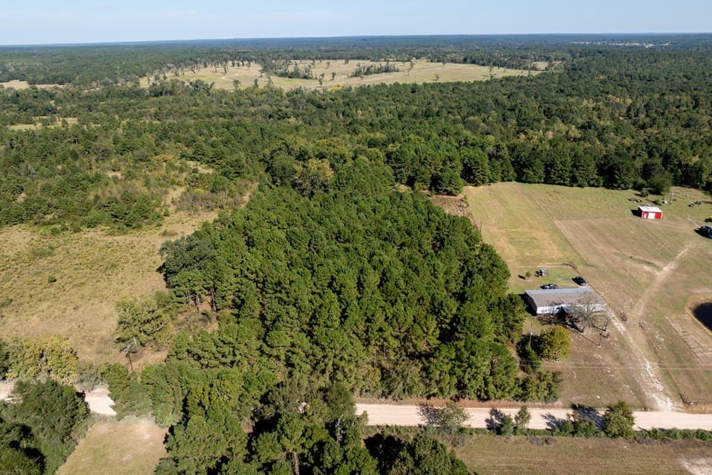 13 acres in HOUSTON County gallery image 2