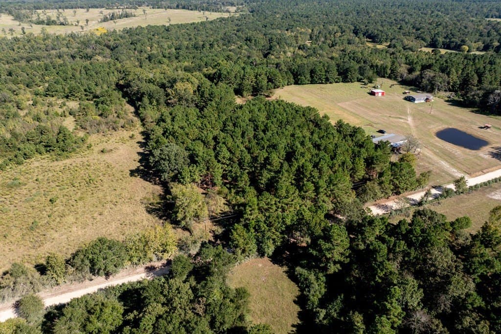 13 acres in HOUSTON County gallery image 3