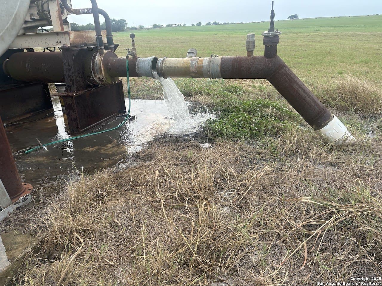 59.89 acres in Wilson County gallery image 2