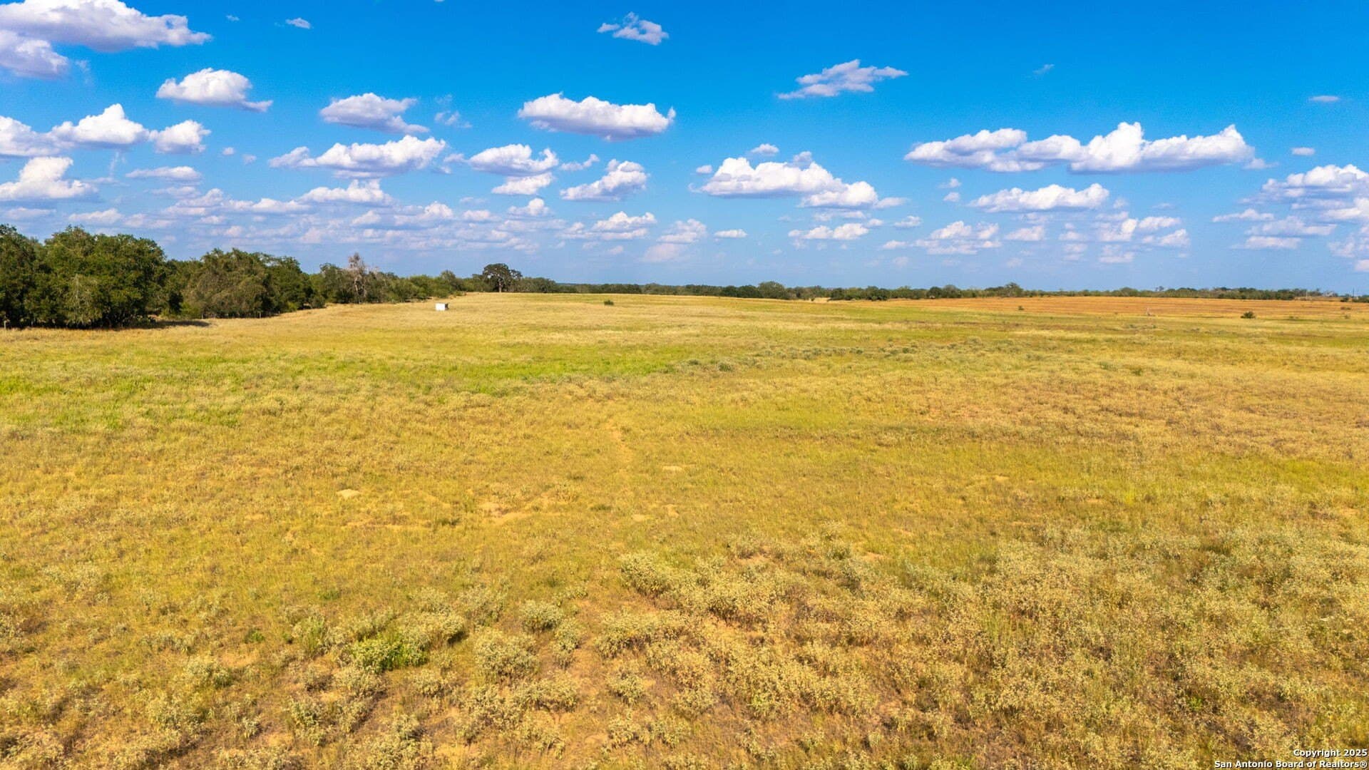 59.89 acres in Wilson County