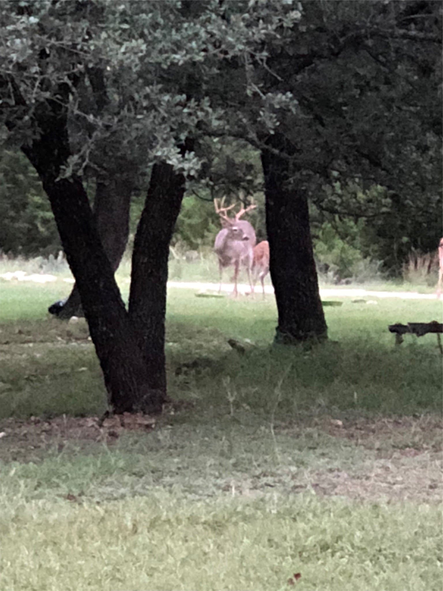 0.32 acres in Bosque County - photo 12