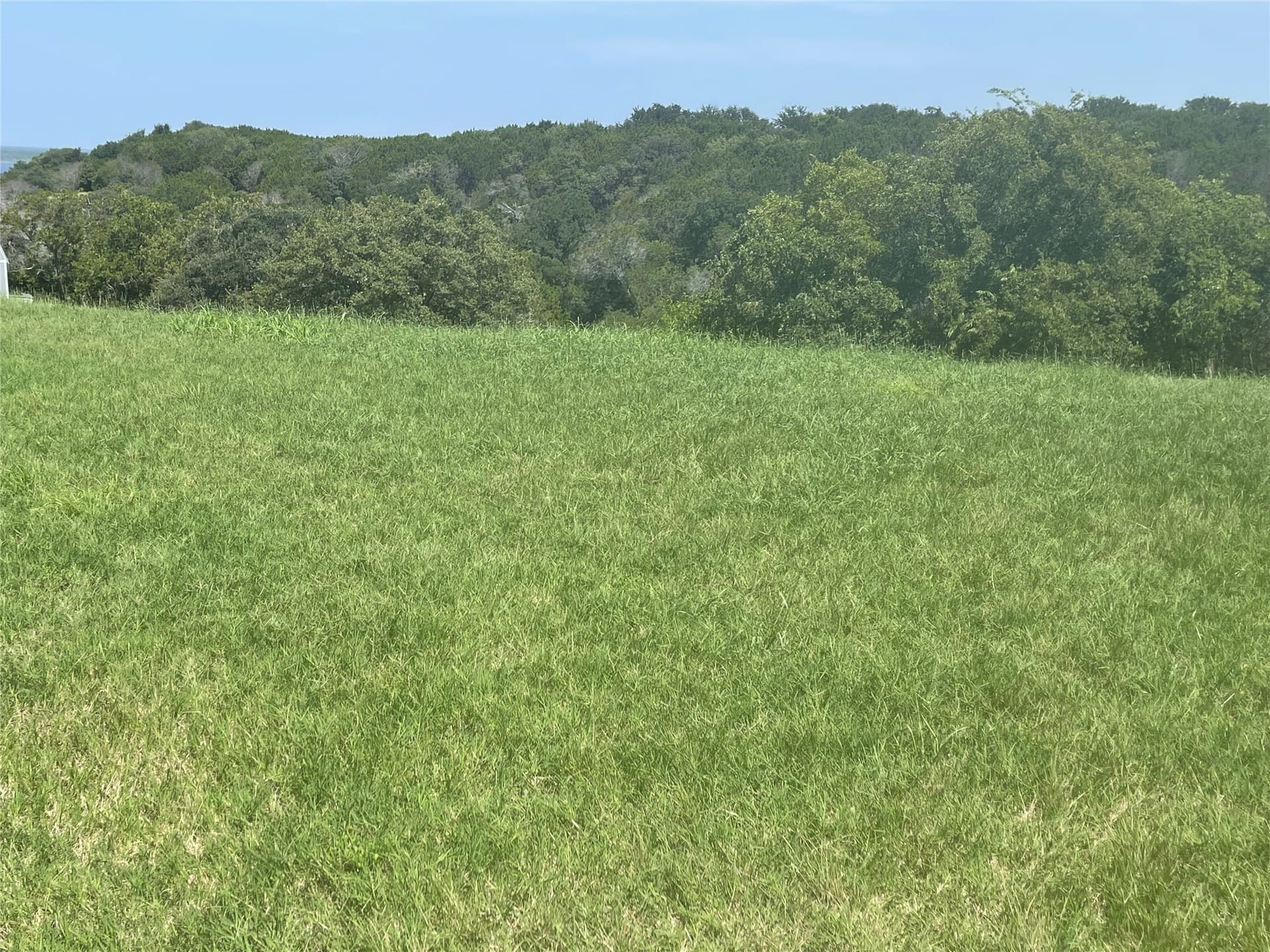 0.32 acres in Bosque County gallery image 3
