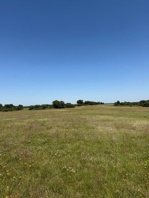 54.01 acres in Parker County - photo 15