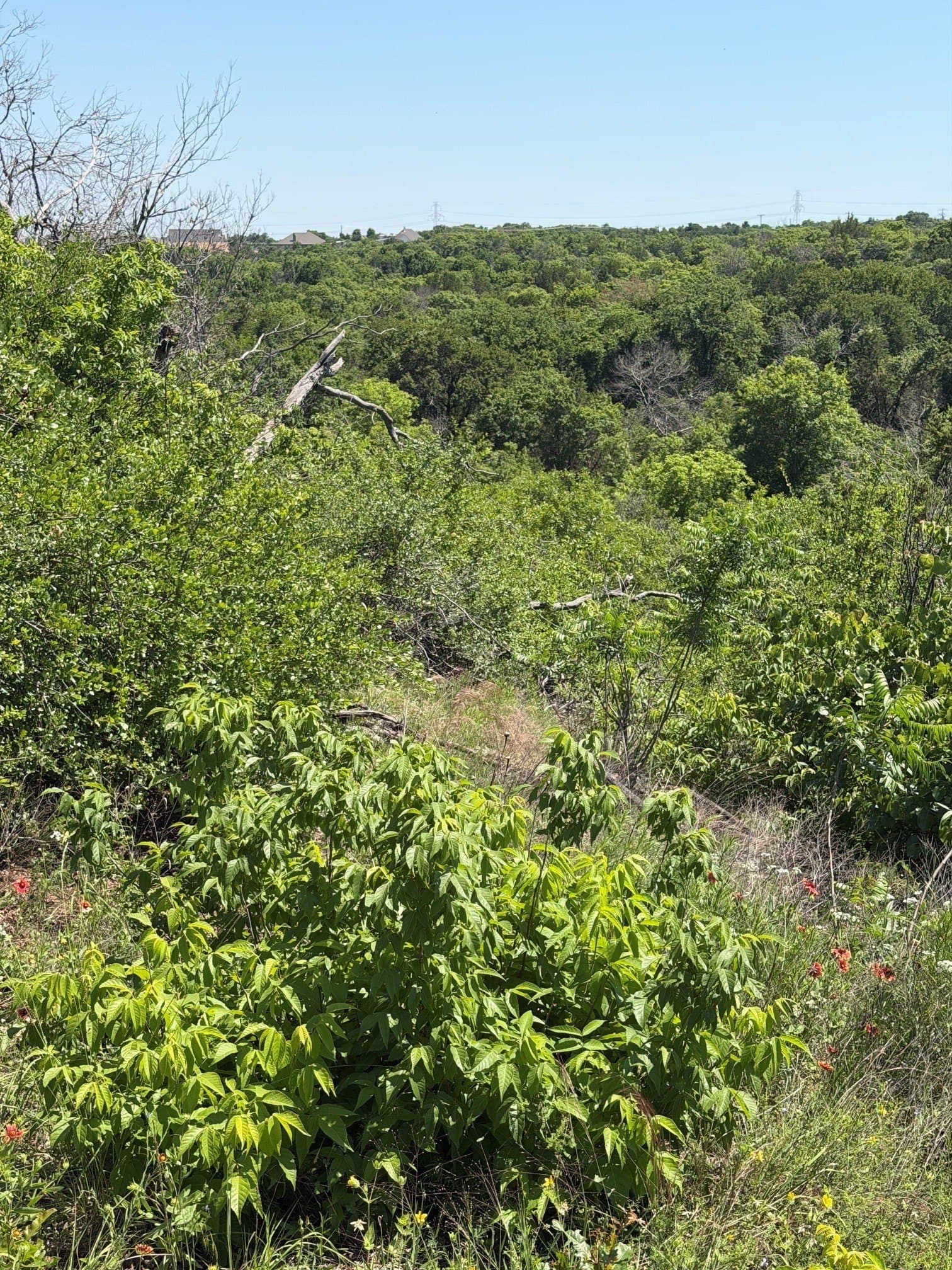 54.01 acres in Parker County - photo 18