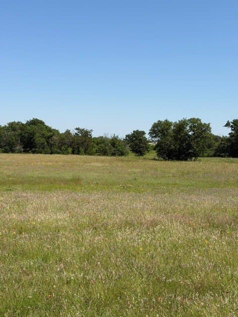 54.01 acres in Parker County - photo 14