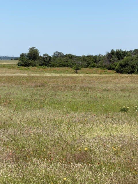 54.01 acres in Parker County - photo 12