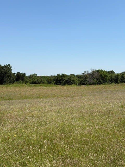 54.01 acres in Parker County - photo 13