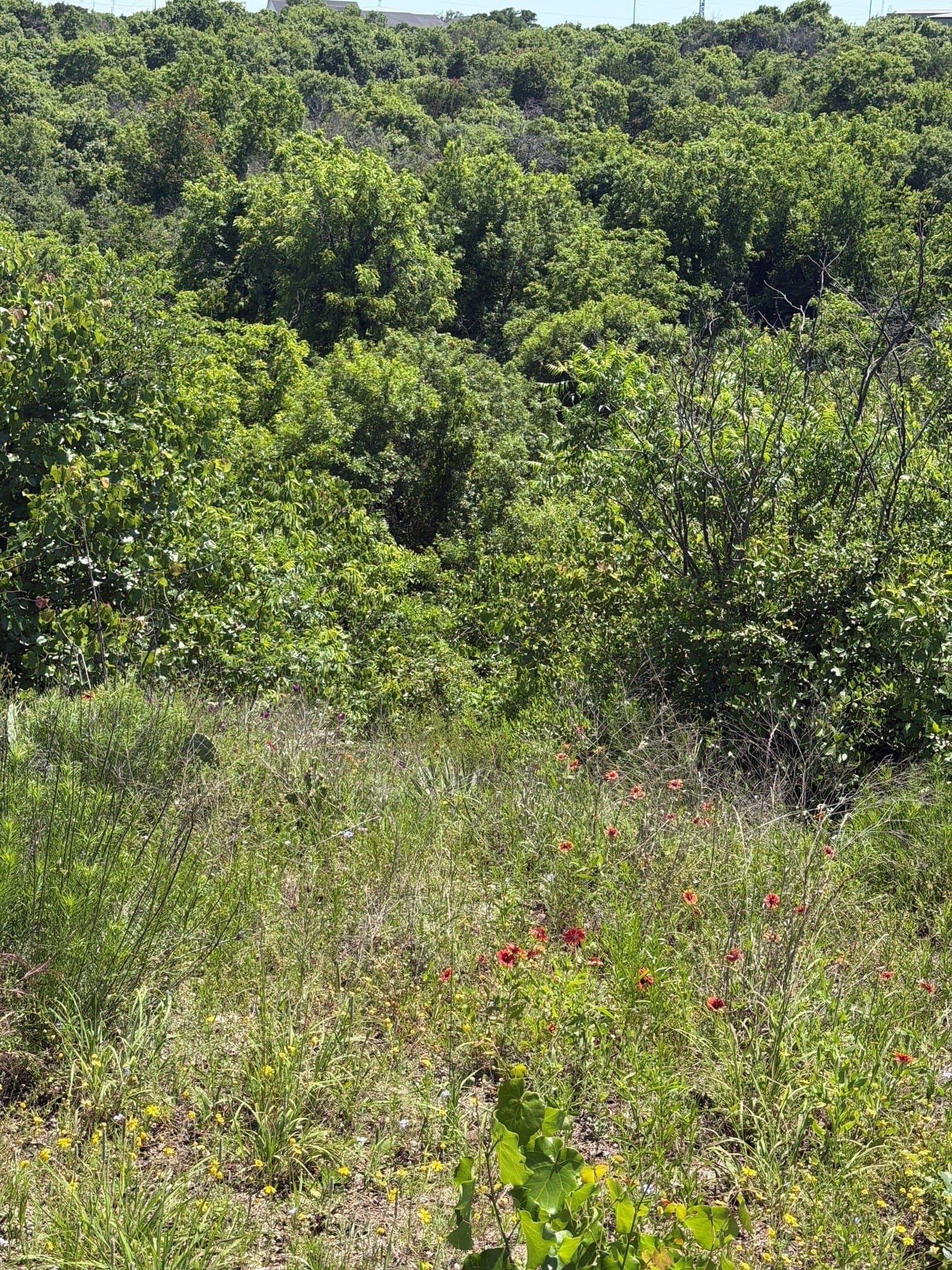 54.01 acres in Parker County - photo 17