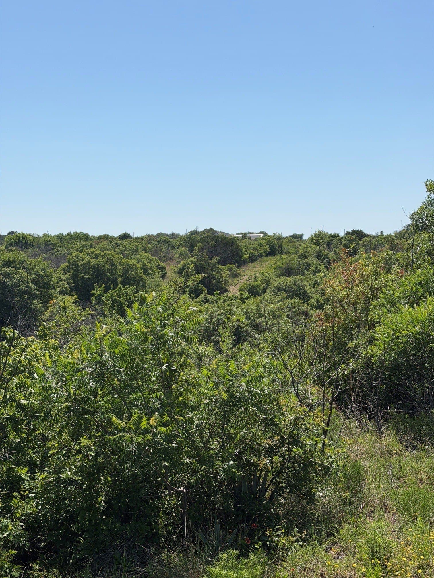 54.01 acres in Parker County - photo 16