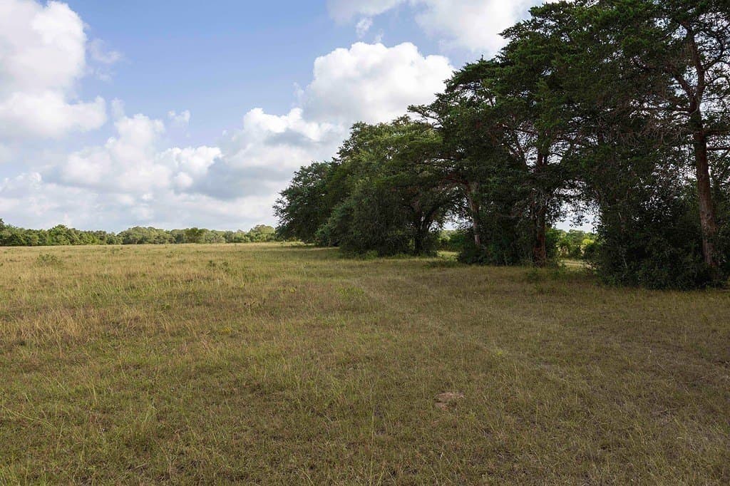 20 acres in Fayette County - photo 7