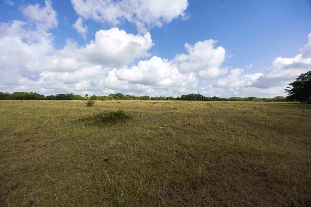 20 acres in Fayette County - photo 8