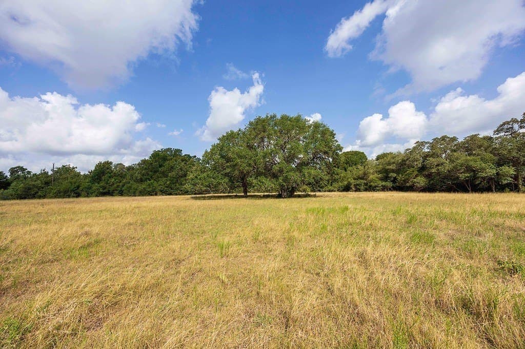 20 acres in Fayette County - photo 6