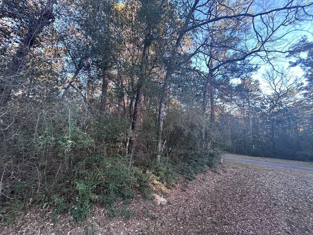 0.55 acres in Texas County gallery image 2