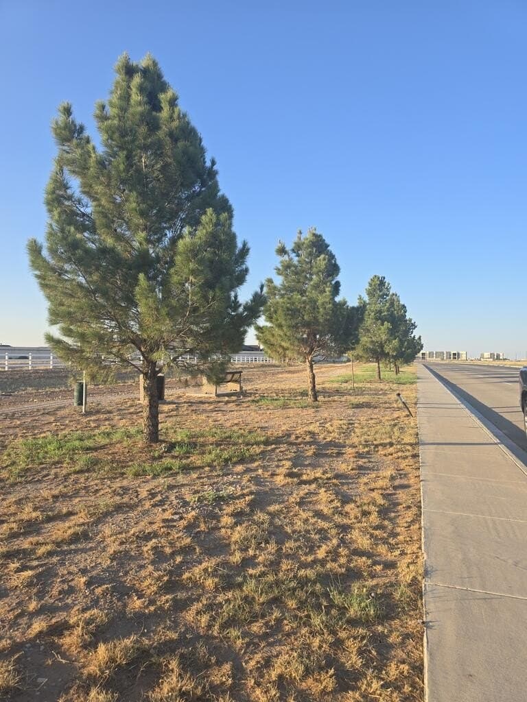 6.78 acres in Ector County - photo 16