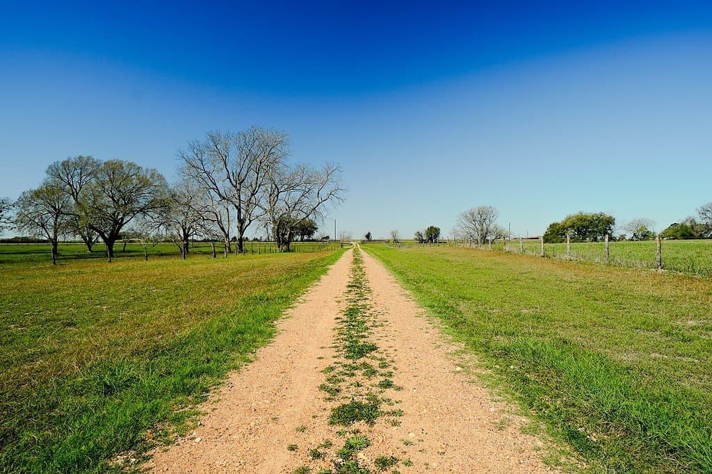 81.44 acres in Lavaca County - photo 30