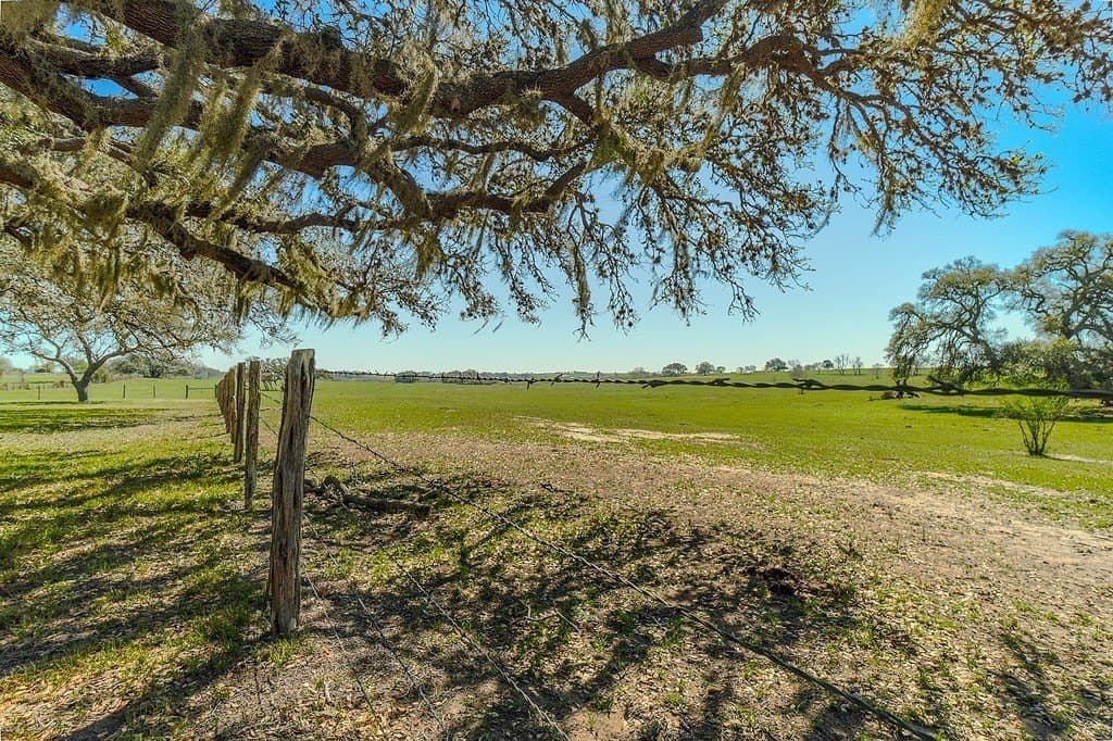 81.44 acres in Lavaca County - photo 23
