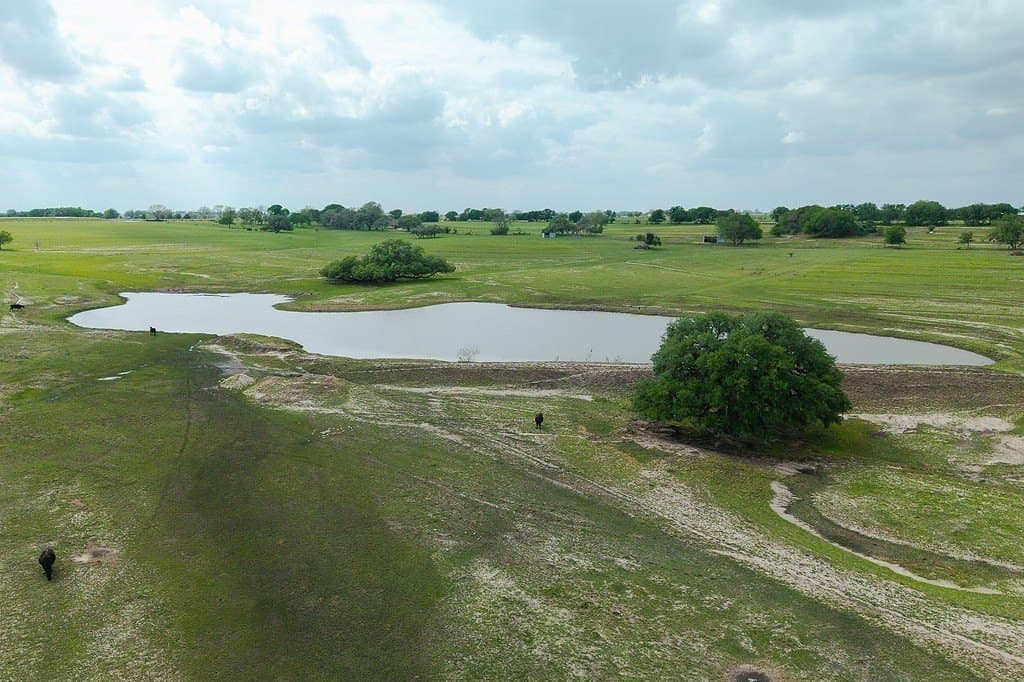 81.44 acres in Lavaca County - photo 18