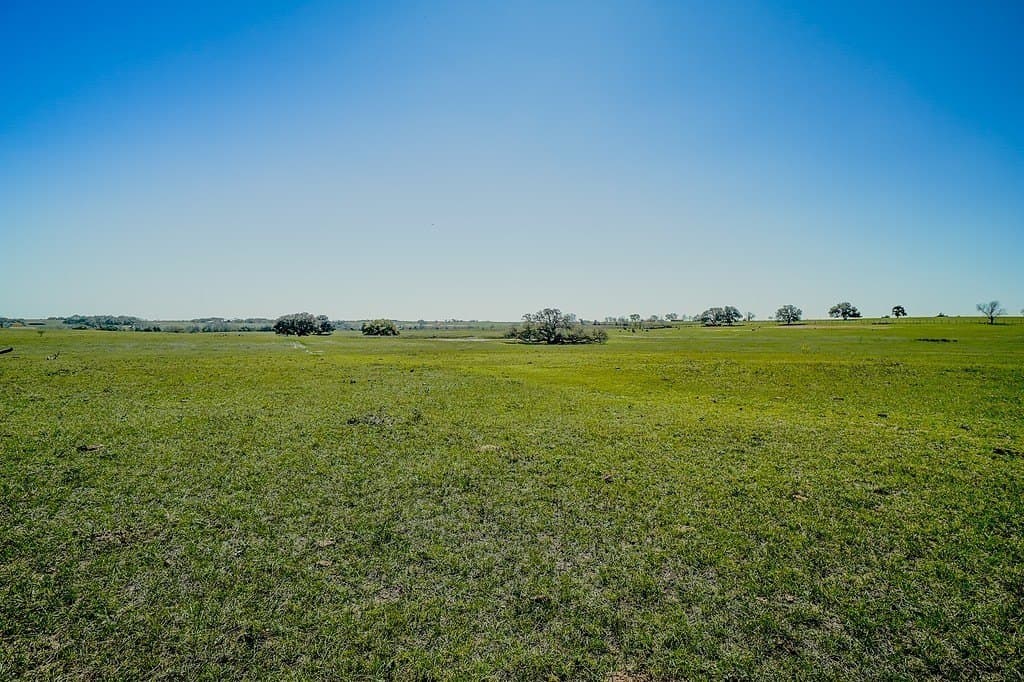 81.44 acres in Lavaca County - photo 25