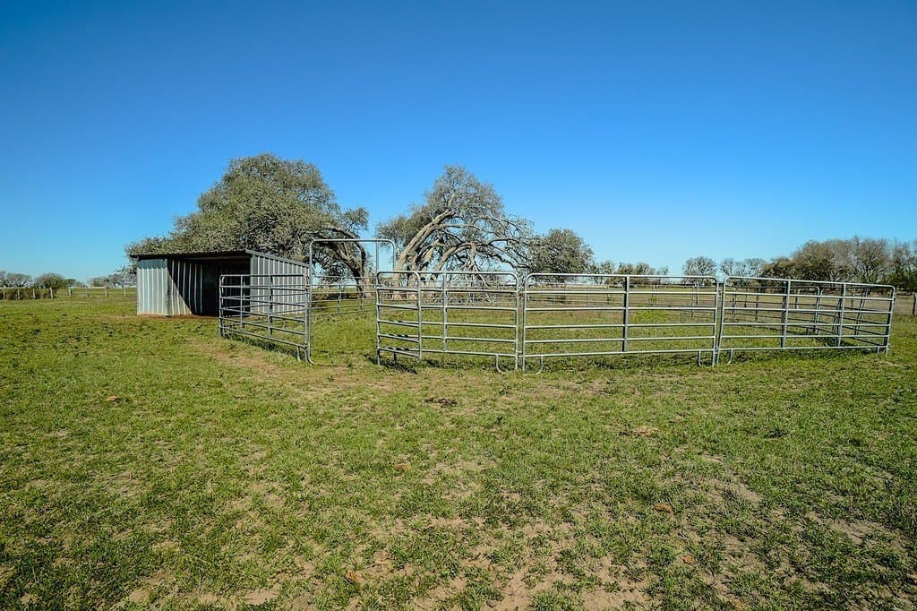 81.44 acres in Lavaca County - photo 29