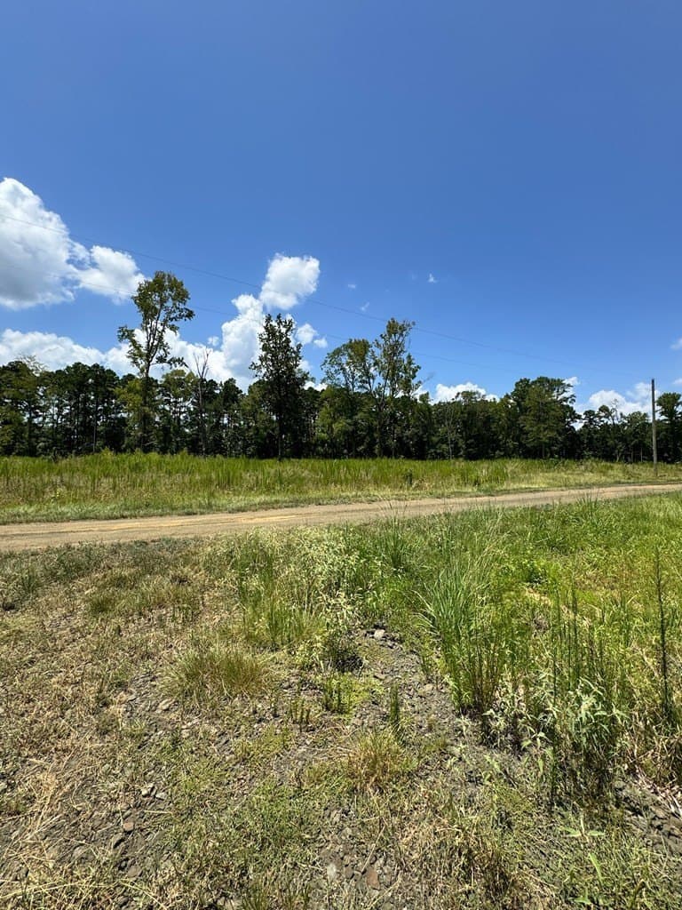 7.97 acres in Texas County - photo 8
