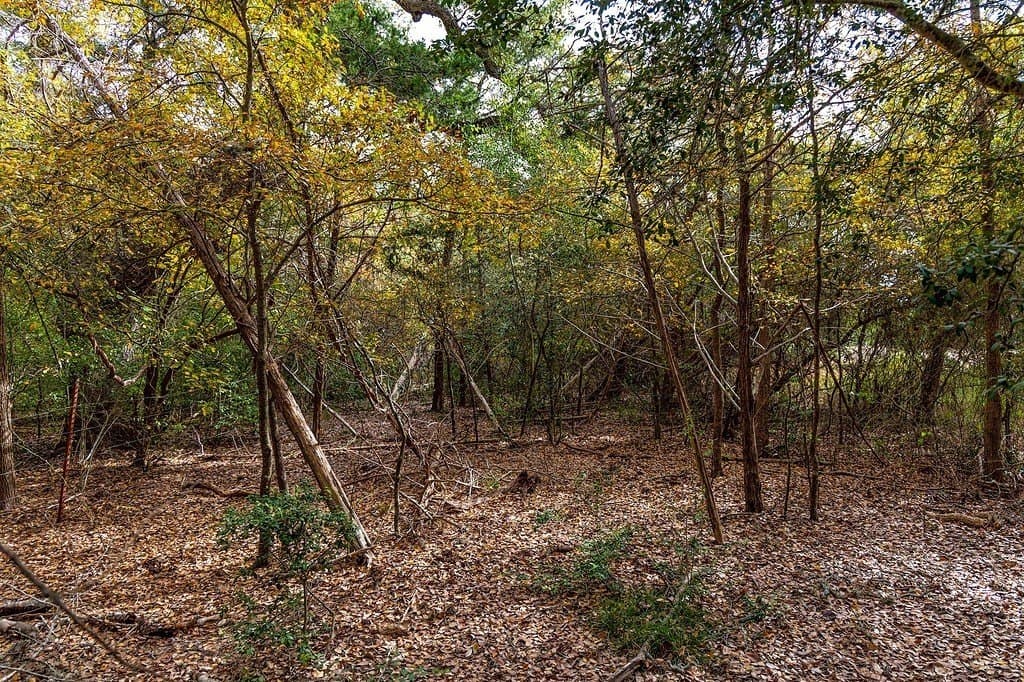 19.35 acres in Fayette County - photo 7