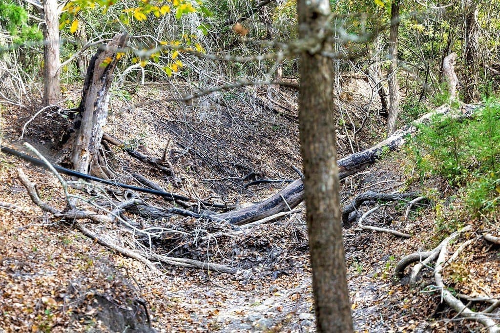 19.35 acres in Fayette County - photo 11