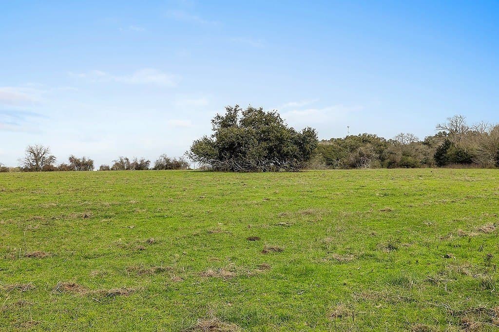 17 acres in Colorado County gallery image 4