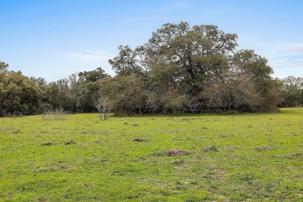 17 acres in Colorado County gallery image 3