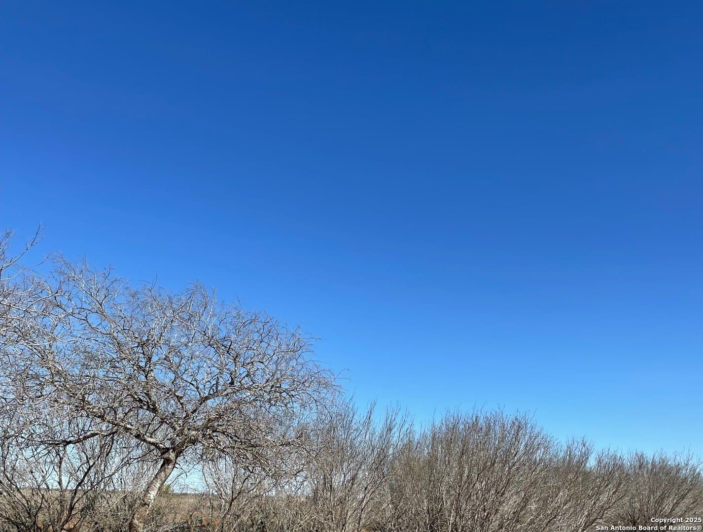 14.76 acres in Atascosa County gallery image 2