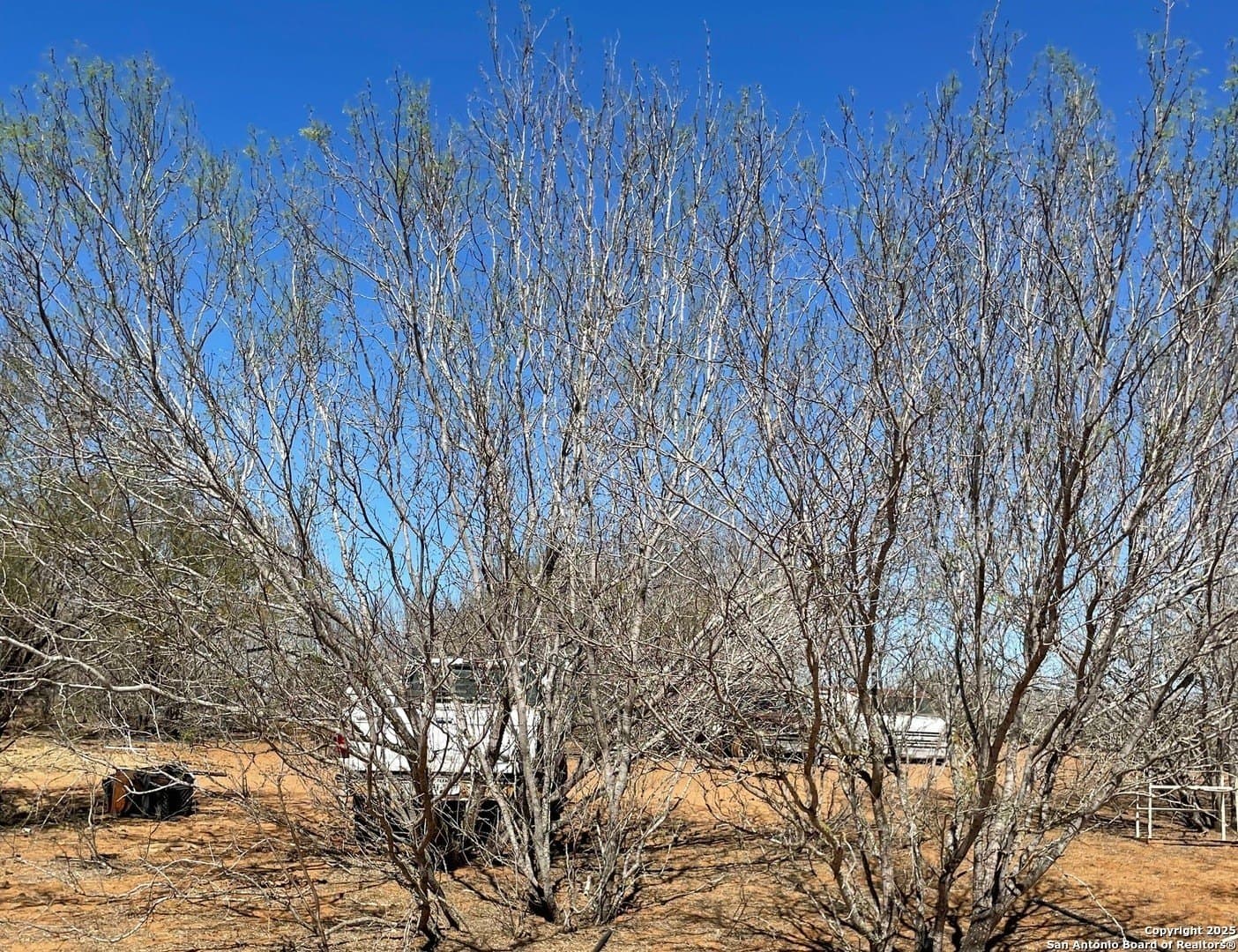 14.76 acres in Atascosa County gallery image 4