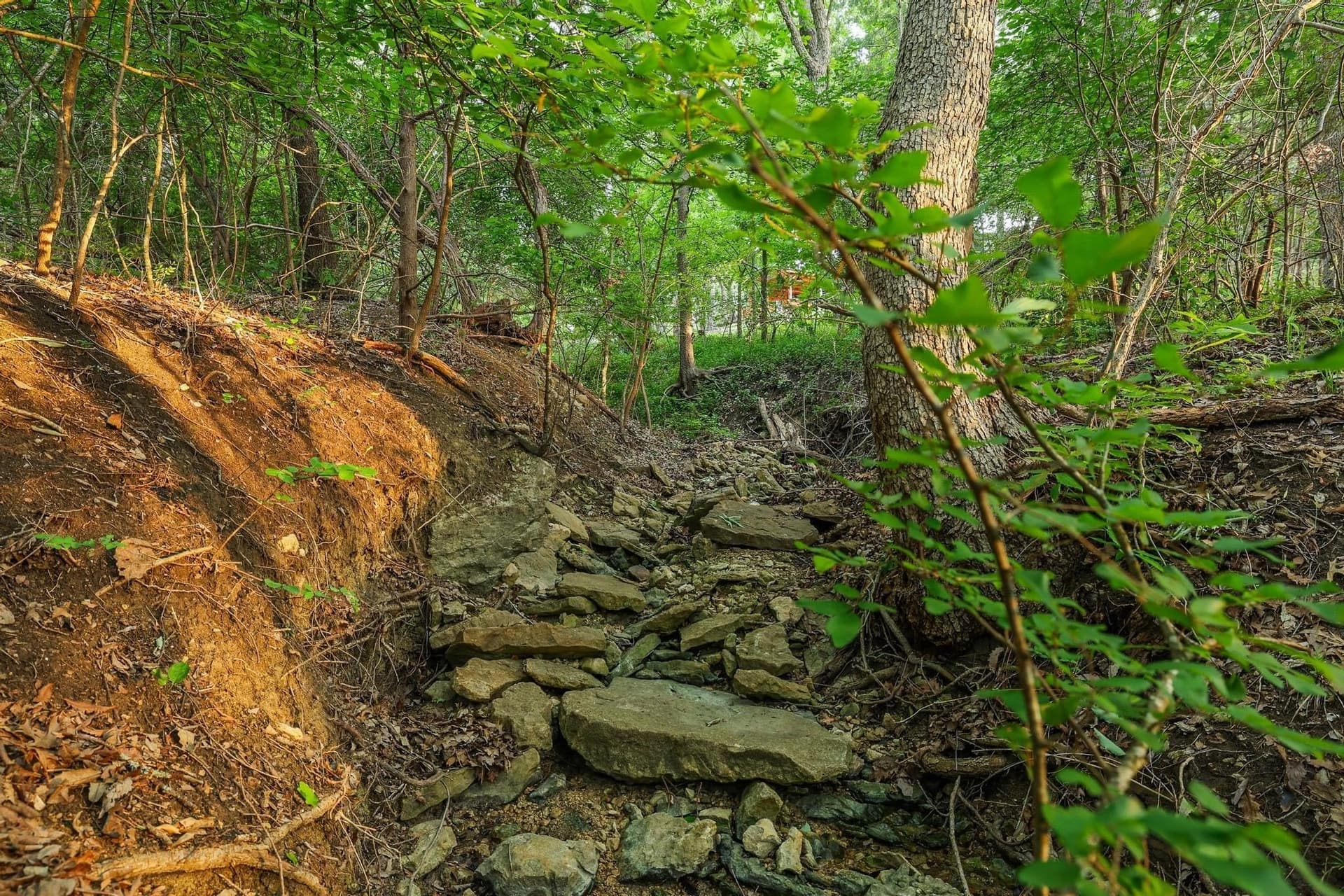 3.63 acres in Grayson County - photo 19