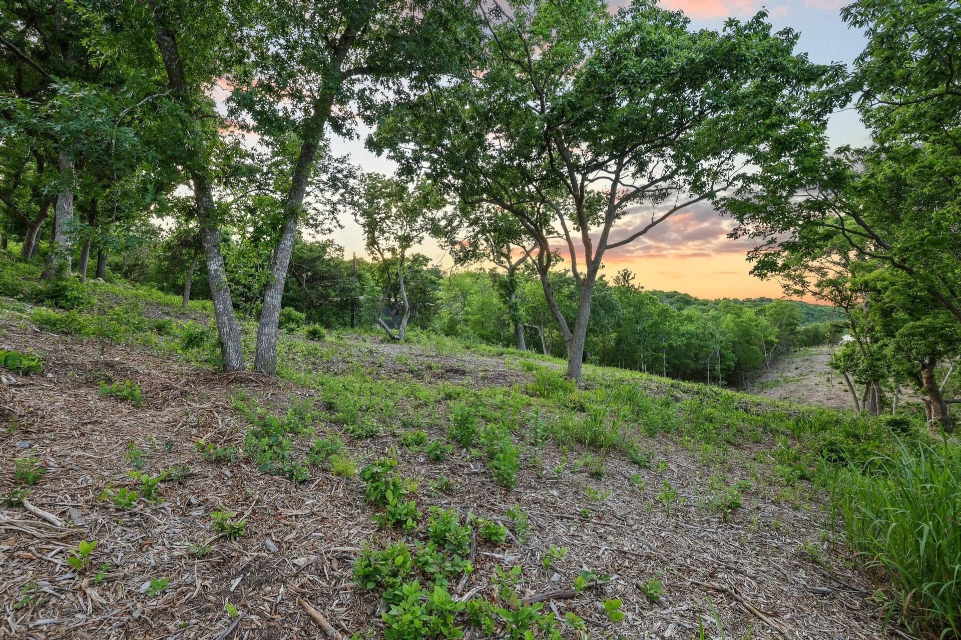 3.63 acres in Grayson County - photo 20