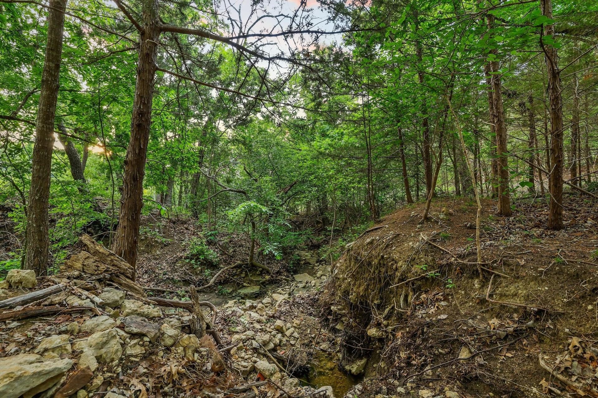 3.63 acres in Grayson County - photo 21