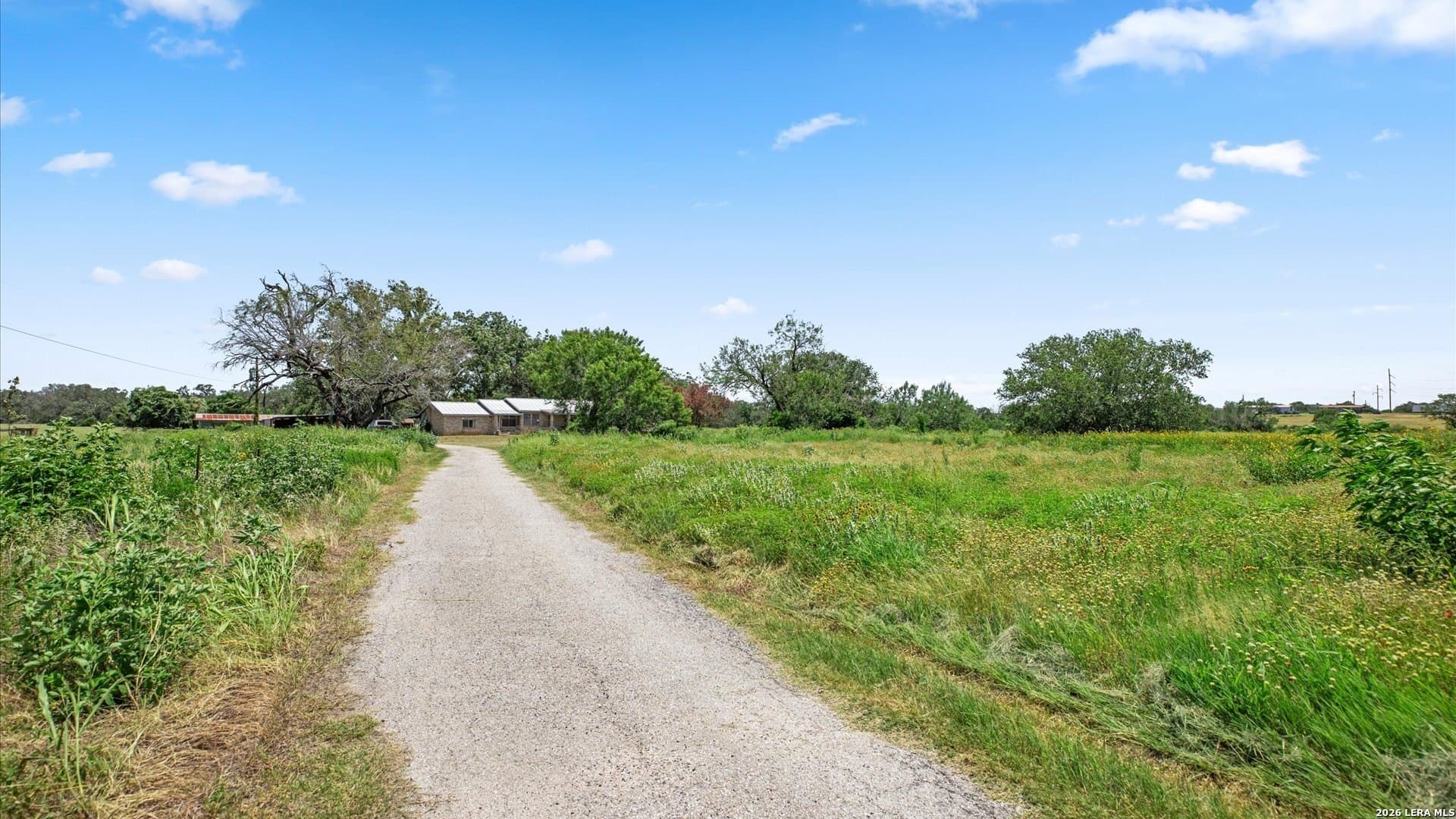 19.75 acres in Wilson County gallery image 3